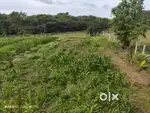 Farm land for sale