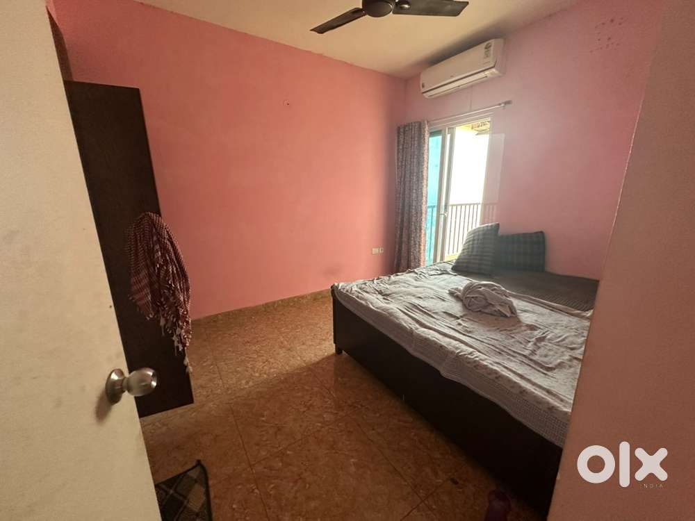 Looking for a flatmate