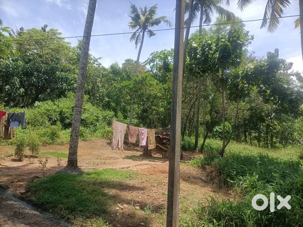 15 cent plot for sale