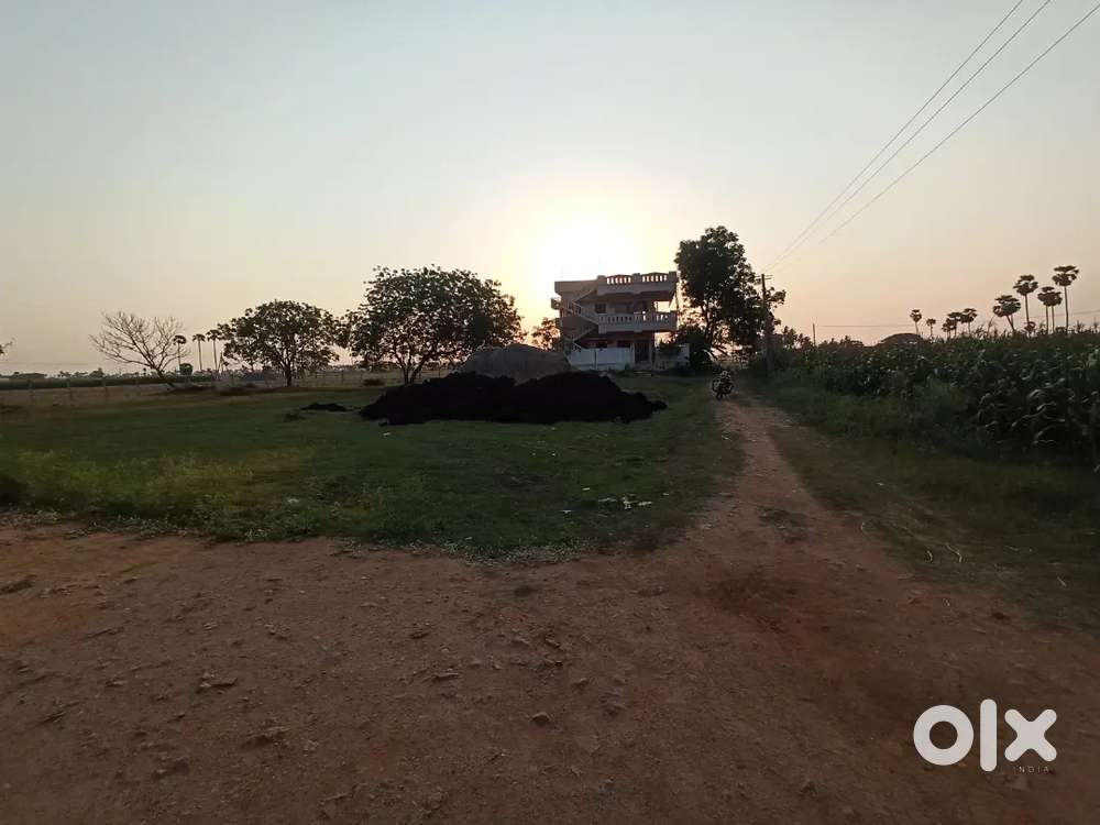 My selling my land in Kuchipudi movva road..5 cents