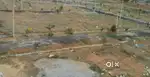 Investor  for land investment