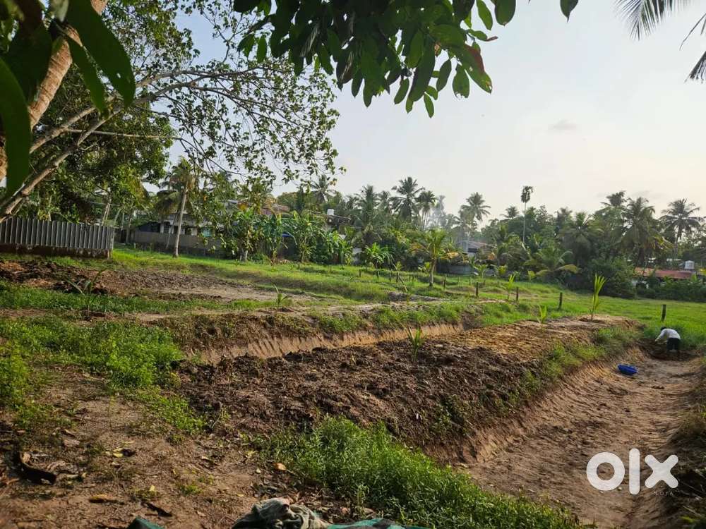 55 cent nilam for sale in chingoli