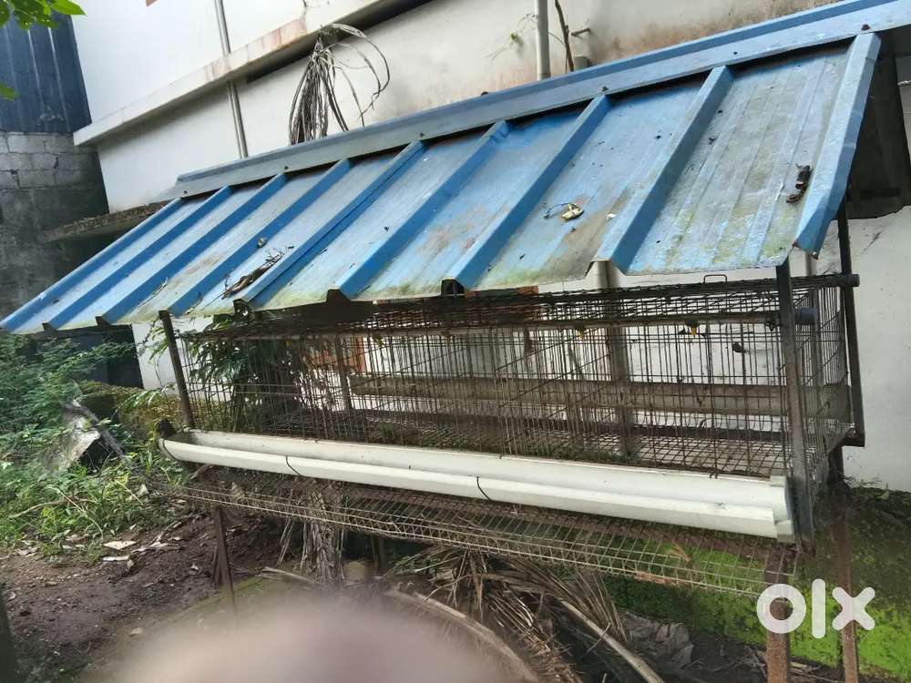 Hi tech poultry cage