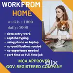 Full time or part time job