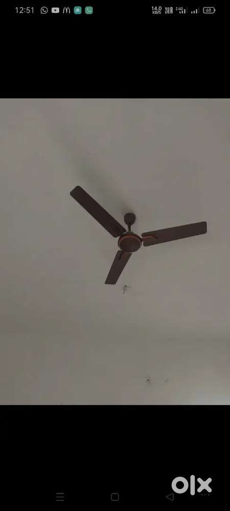 Ceiling Fan havells