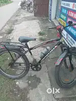 New vintage fat bike