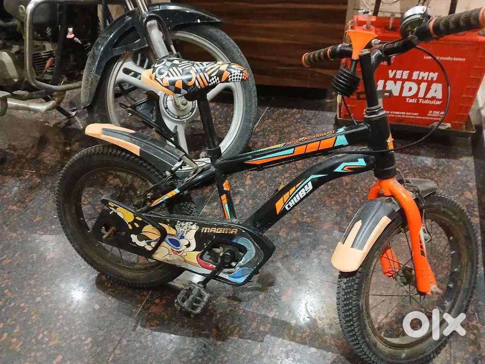 Chuby cycle sale in amritsar