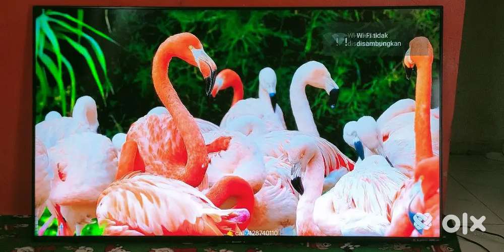 Ashram 43inch 4k UHD WEBOS led tv android apps live tv voice+air