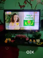 LG  24 Inch flat tv