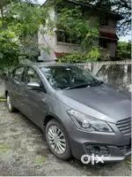 Used Maruti Suzuki Ciaz for Sale