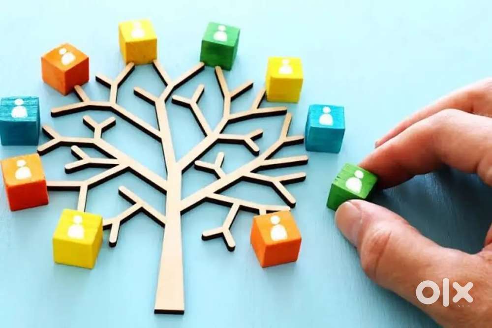 ACCOUNTANT WITH EXPERIENCE IN PF ESIC & LABOUR WORK