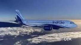 APPLY URGENT AIRPORT JOBS INDIGO AIRLINES GROUND STAFF & CABIN CREW