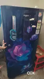 Fridge well maintained