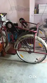 Tricycle sale