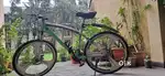 21 gear cycle with disc brake and suspension