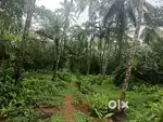 Pullalur Plain land 20 cents 2.5 lakh per cent