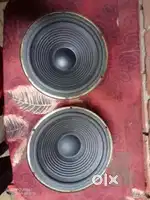 2 speaker. 10 inches