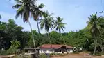 24.26 Acres Prime Land for Investment in Belthangady, Mangalore