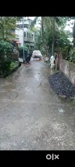 বারাসাত ময়না আদ্যপক রোড থেকে ২০০ মিটার দূরত্ব 2 কাটা জমি।
