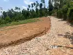 16 Cent Prime Residential Plot for Sale | Moolankavu | Sulthan Bathery