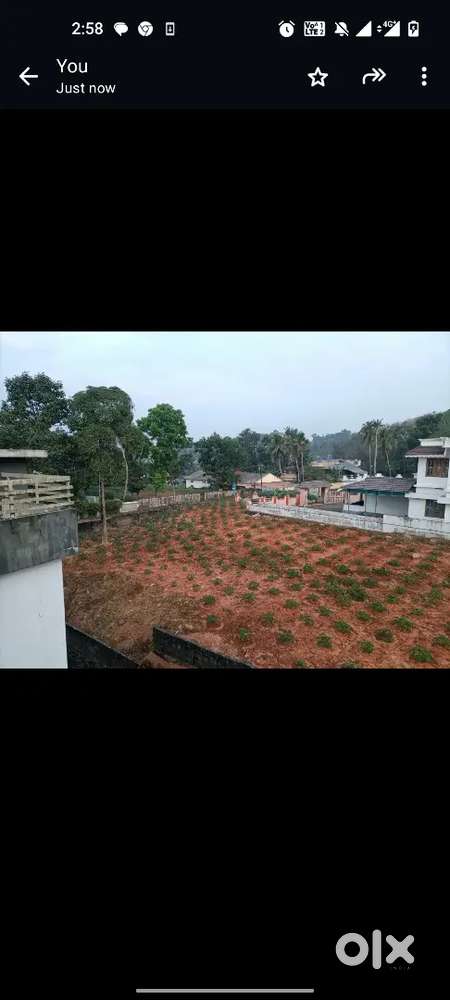 Well furnished house for hostel rent