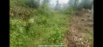 Rural area