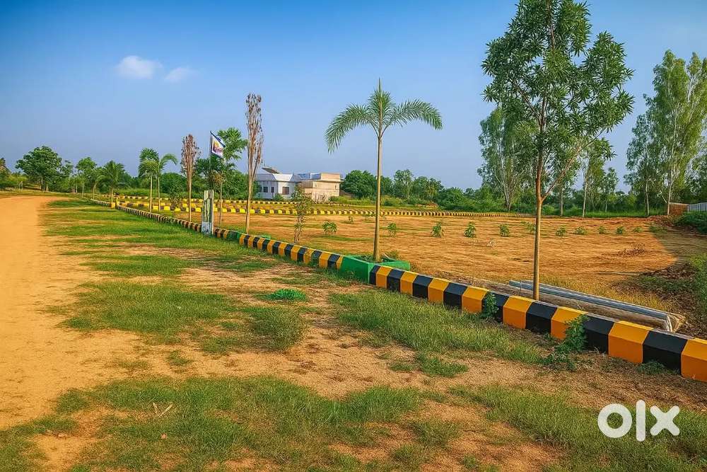 लखनऊ सुल्तानपुर रोड पर सरोज इंस्टीट्यूट से नजदीक अप्रूव्ड जमीन