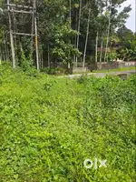 8 cent residential plot for sale