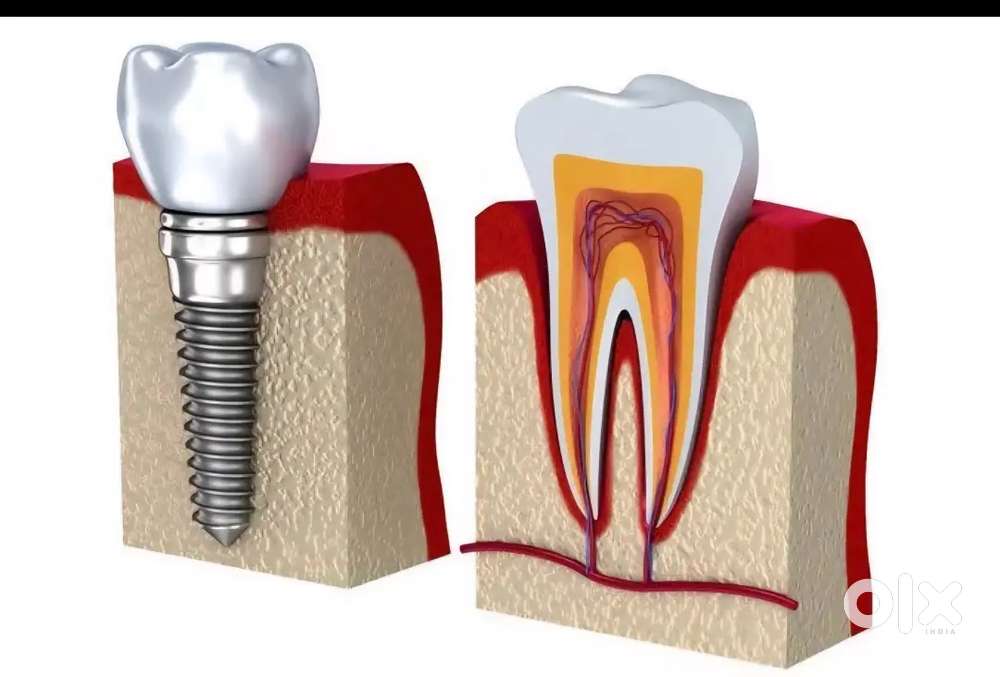 Female Dental assistant/Helper