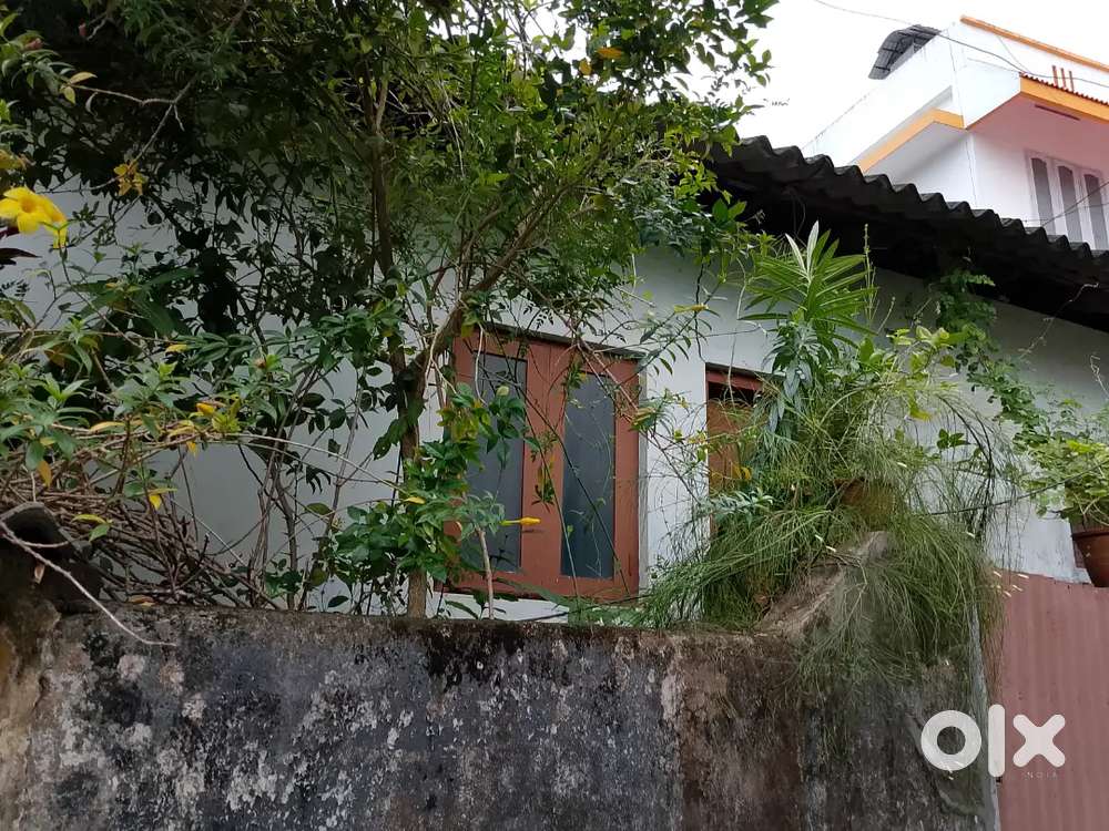 DPI Ammankovil Road Thycadu Elankam Nagar 4.25 Cent Per Cent 27 Lakhs