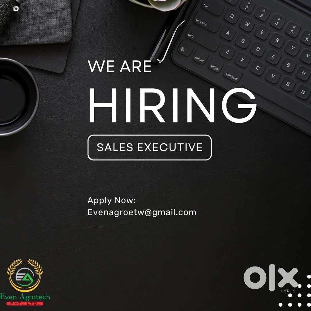 Sales Executive