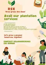 RSK Plantation