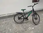 Avon cycle