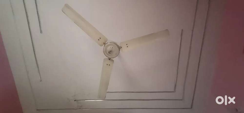 Induction, gas chulha,ceiling fan,study table more