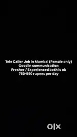 Tele Caller Job (Female Only)