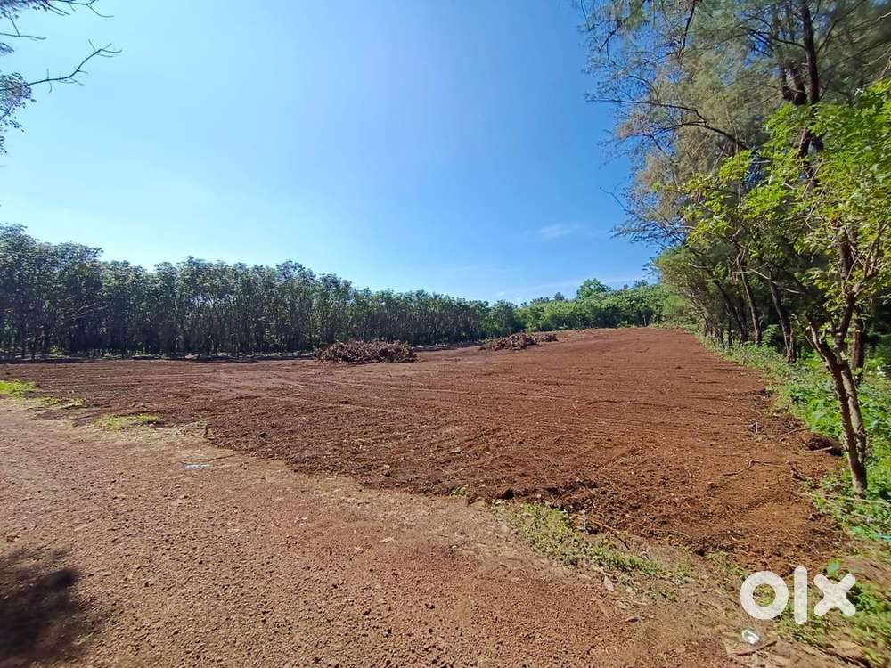 165 cent from main road only 600 mtrs