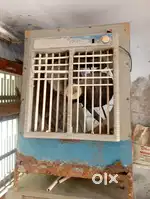 Air cooler