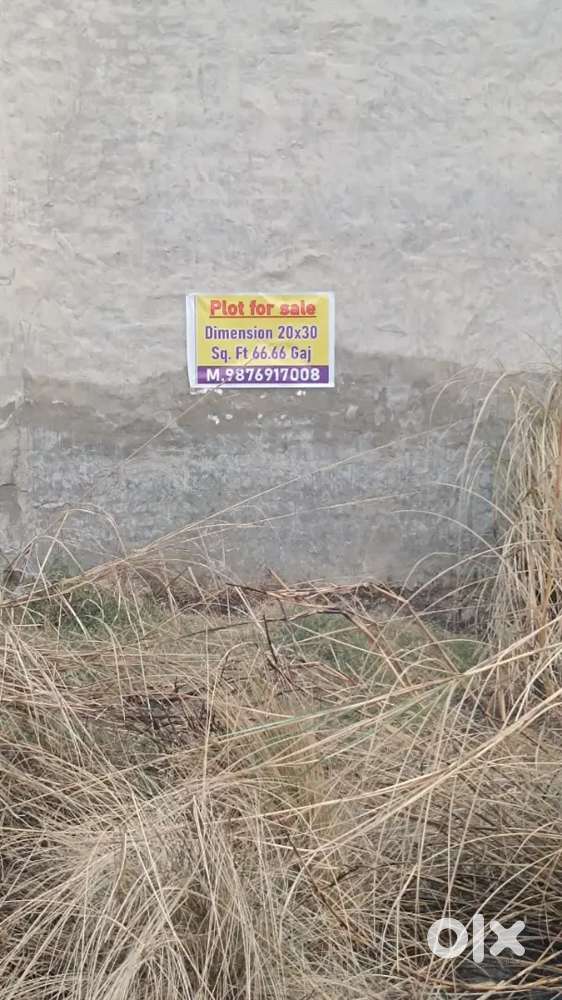 Plot for sale 10000 per gaj