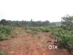 Total 8 guntaExcellent plot in city ready for construction soil tested