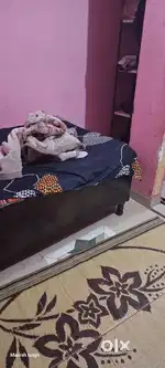 Neend a roommate