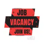 Team leader, documents handling, tele calling