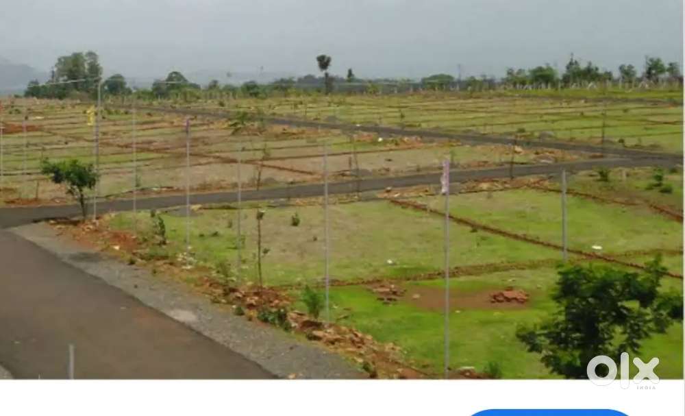 Sasta plant De denge bahut emergency hai