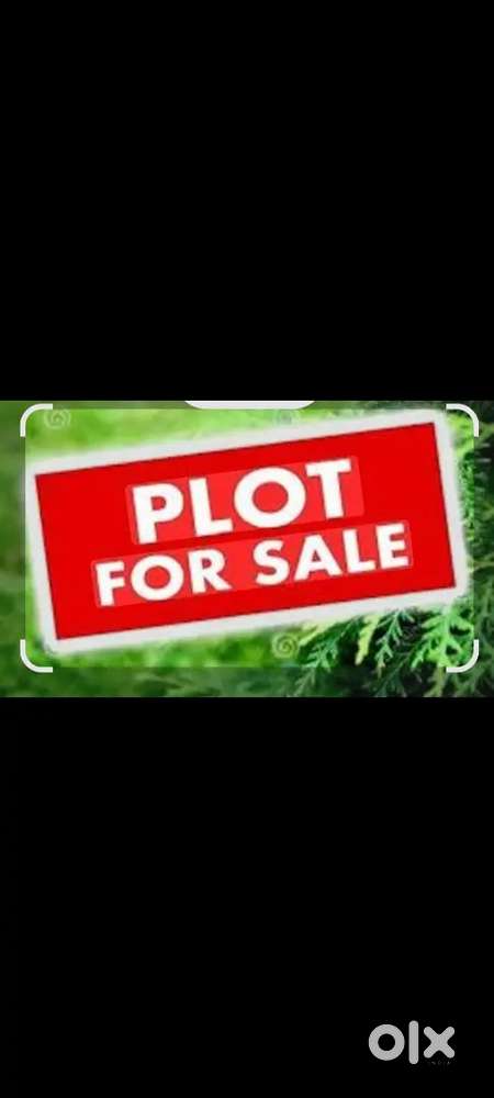 वेस्ट लोकेशं अलीगढ रोड रावत नगर कॉलोनी हाथरस