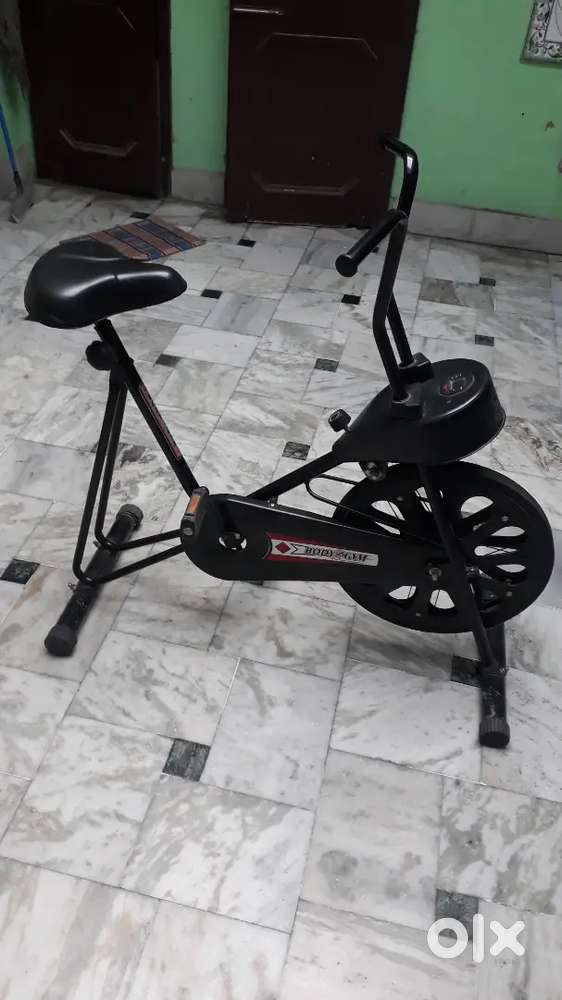 Exercise cycle