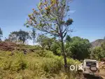 Dtcp approved plot for sale near ghat road, kodaikanal