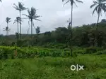 23 cent land for sale
