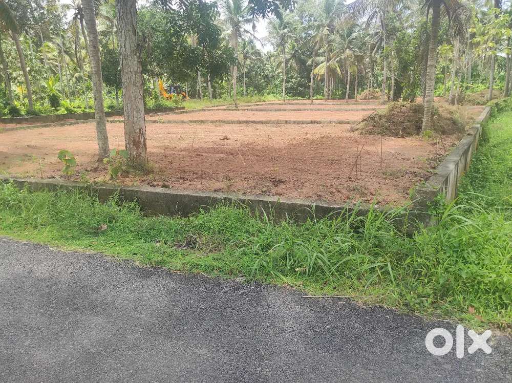 5.5 to 7.5 cent House plot @ Chanthavila