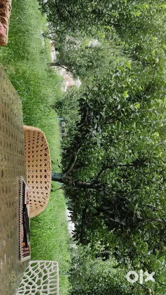 Require to work at chai sutta bar  pandeypur varanasi