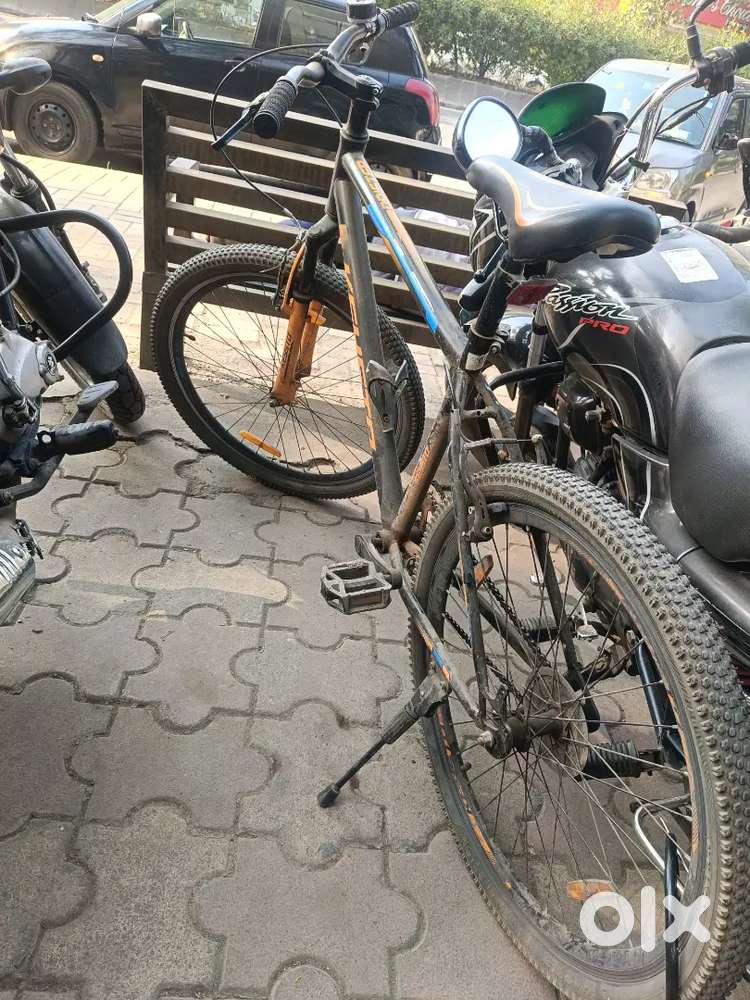 6month old For Beginners