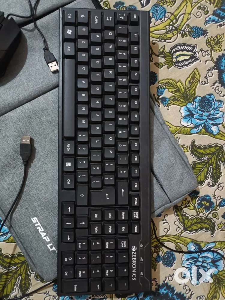 Zebronics Keyboard and Quantum Mouse